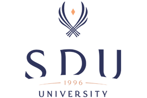 SDU University